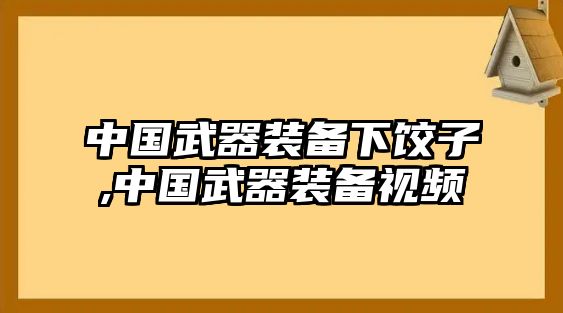 中國武器裝備下餃子,中國武器裝備視頻