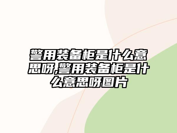 警用裝備柜是什么意思呀,警用裝備柜是什么意思呀圖片