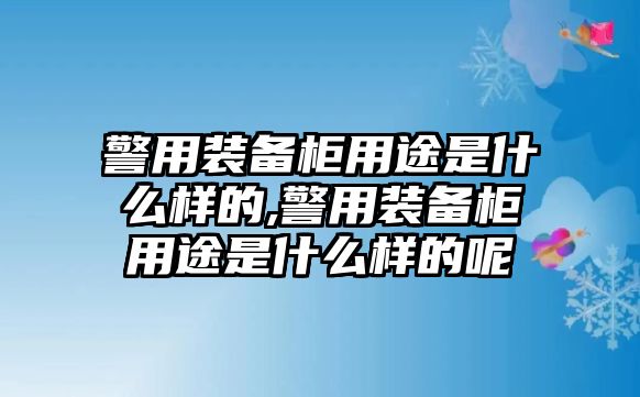 警用裝備柜用途是什么樣的,警用裝備柜用途是什么樣的呢