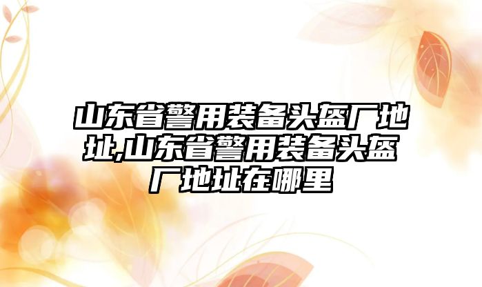 山東省警用裝備頭盔廠地址,山東省警用裝備頭盔廠地址在哪里