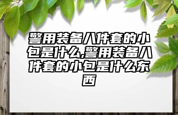 警用裝備八件套的小包是什么,警用裝備八件套的小包是什么東西