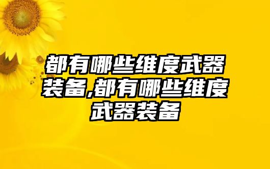 都有哪些維度武器裝備,都有哪些維度武器裝備