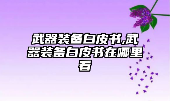 武器裝備白皮書,武器裝備白皮書在哪里看