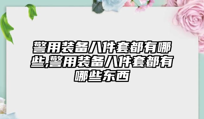 警用裝備八件套都有哪些,警用裝備八件套都有哪些東西