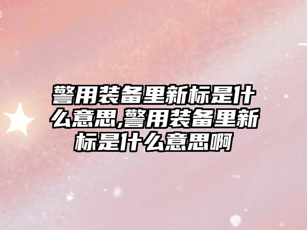 警用裝備里新標是什么意思,警用裝備里新標是什么意思啊