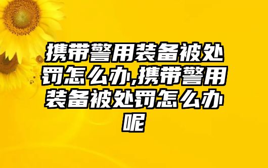 攜帶警用裝備被處罰怎么辦,攜帶警用裝備被處罰怎么辦呢