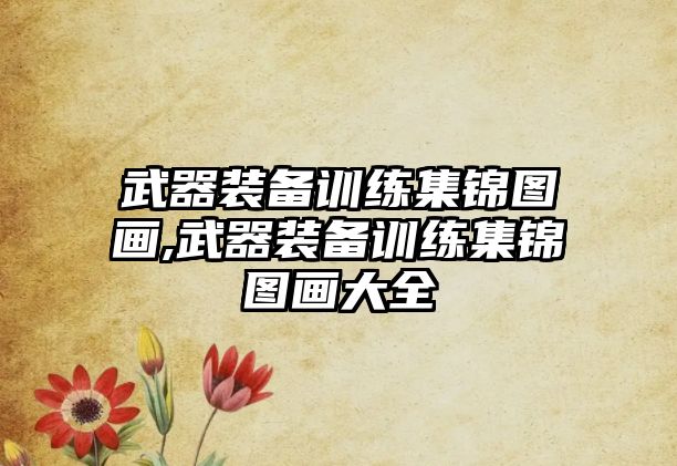 武器裝備訓練集錦圖畫,武器裝備訓練集錦圖畫大全