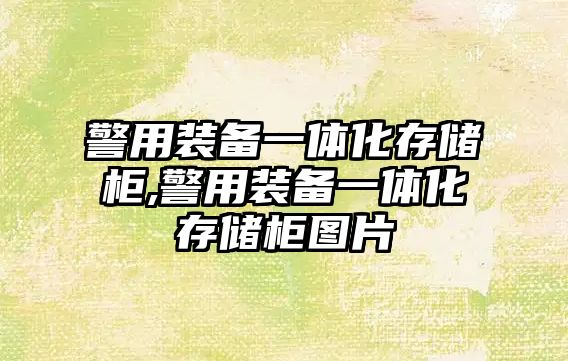 警用裝備一體化存儲柜,警用裝備一體化存儲柜圖片