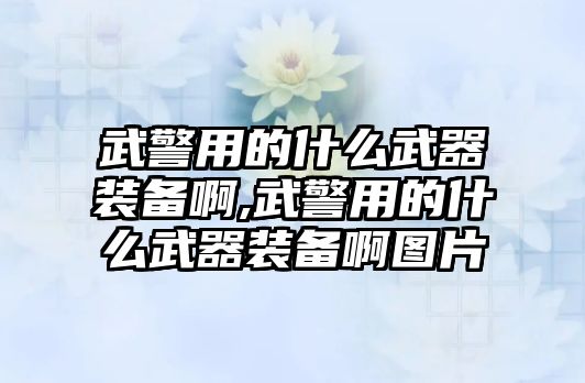 武警用的什么武器裝備啊,武警用的什么武器裝備啊圖片