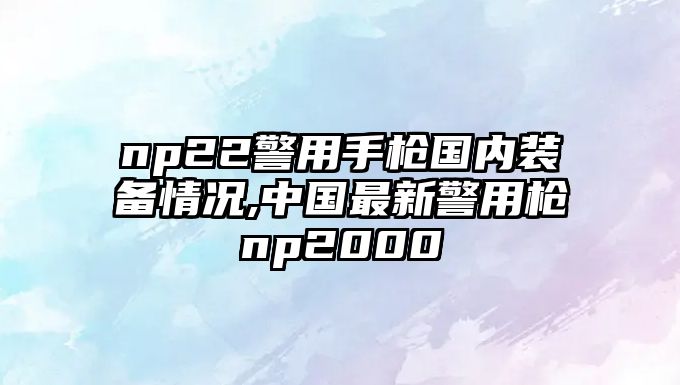 np22警用手槍國內裝備情況,中國最新警用槍np2000