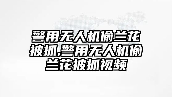 警用無人機偷蘭花被抓,警用無人機偷蘭花被抓視頻