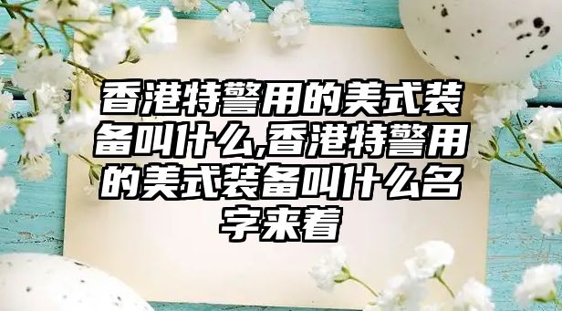 香港特警用的美式裝備叫什么,香港特警用的美式裝備叫什么名字來著