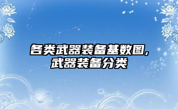 各類武器裝備基數圖,武器裝備分類