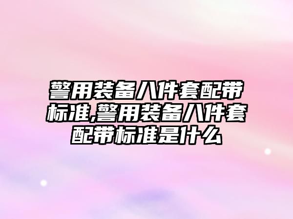 警用裝備八件套配帶標準,警用裝備八件套配帶標準是什么