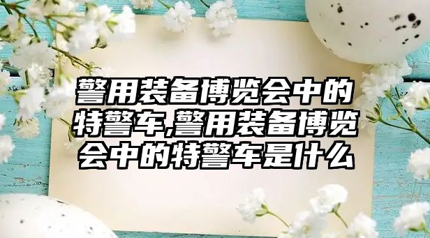 警用裝備博覽會(huì)中的特警車(chē),警用裝備博覽會(huì)中的特警車(chē)是什么