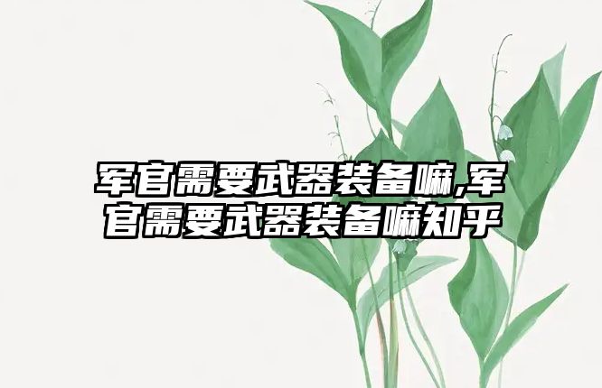 軍官需要武器裝備嘛,軍官需要武器裝備嘛知乎