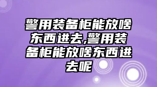 警用裝備柜能放啥東西進(jìn)去,警用裝備柜能放啥東西進(jìn)去呢