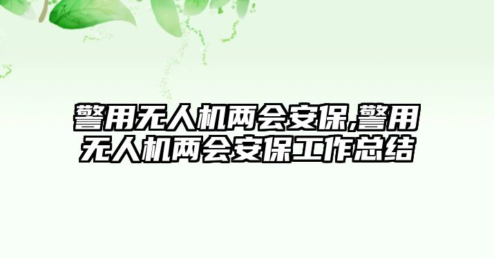 警用無人機兩會安保,警用無人機兩會安保工作總結