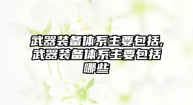 武器裝備體系主要包括,武器裝備體系主要包括哪些