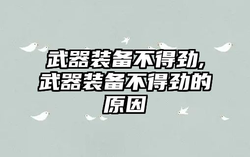 武器裝備不得勁,武器裝備不得勁的原因