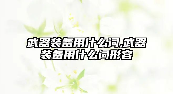 武器裝備用什么詞,武器裝備用什么詞形容