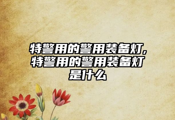 特警用的警用裝備燈,特警用的警用裝備燈是什么