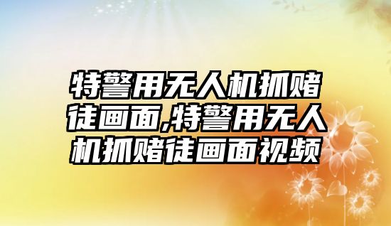 特警用無人機抓賭徒畫面,特警用無人機抓賭徒畫面視頻