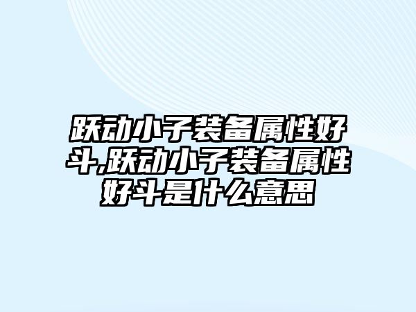 躍動小子裝備屬性好斗,躍動小子裝備屬性好斗是什么意思