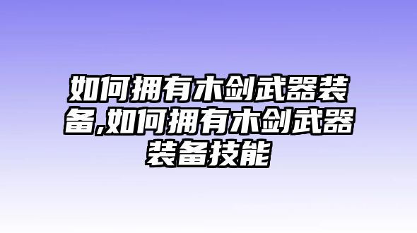 如何擁有木劍武器裝備,如何擁有木劍武器裝備技能