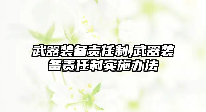 武器裝備責(zé)任制,武器裝備責(zé)任制實(shí)施辦法