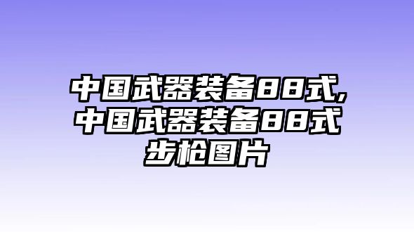 中國武器裝備88式,中國武器裝備88式步槍圖片