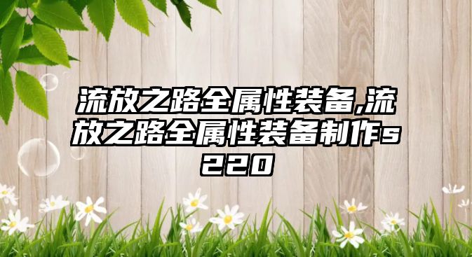 流放之路全屬性裝備,流放之路全屬性裝備制作s220