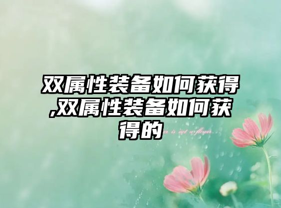 雙屬性裝備如何獲得,雙屬性裝備如何獲得的