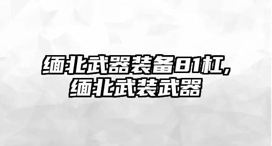 緬北武器裝備81杠,緬北武裝武器