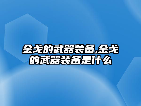 金戈的武器裝備,金戈的武器裝備是什么