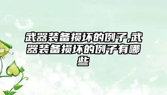 武器裝備損壞的例子,武器裝備損壞的例子有哪些