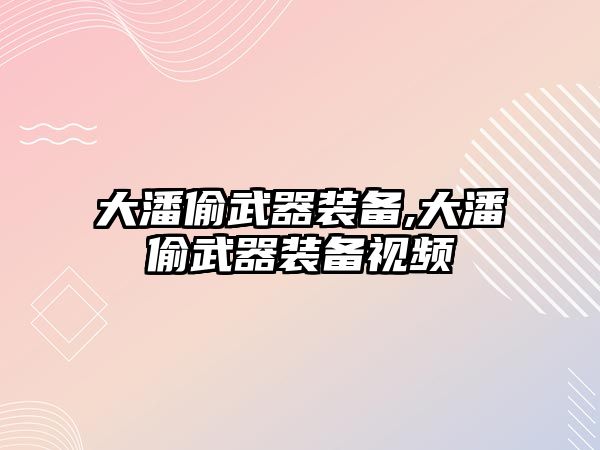 大潘偷武器裝備,大潘偷武器裝備視頻