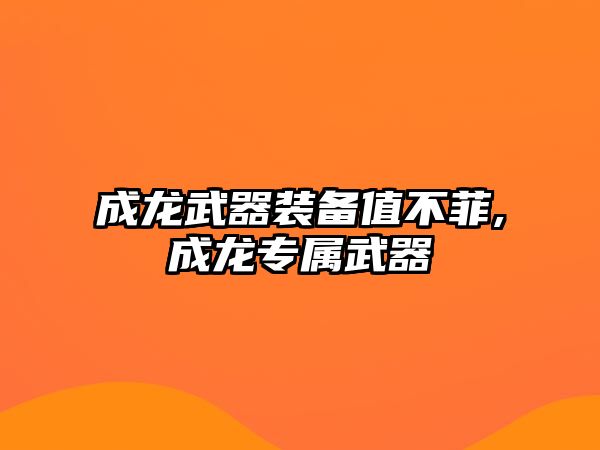 成龍武器裝備值不菲,成龍專屬武器