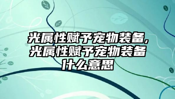 光屬性賦予寵物裝備,光屬性賦予寵物裝備什么意思