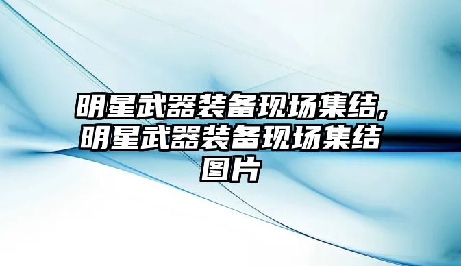 明星武器裝備現(xiàn)場集結(jié),明星武器裝備現(xiàn)場集結(jié)圖片