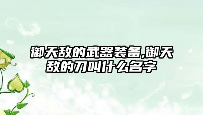 御天敵的武器裝備,御天敵的刀叫什么名字