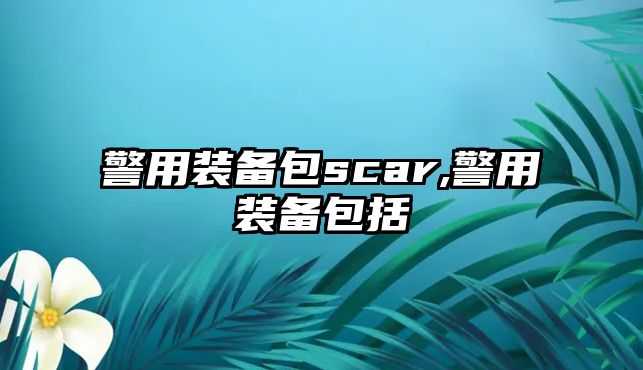 警用裝備包scar,警用裝備包括