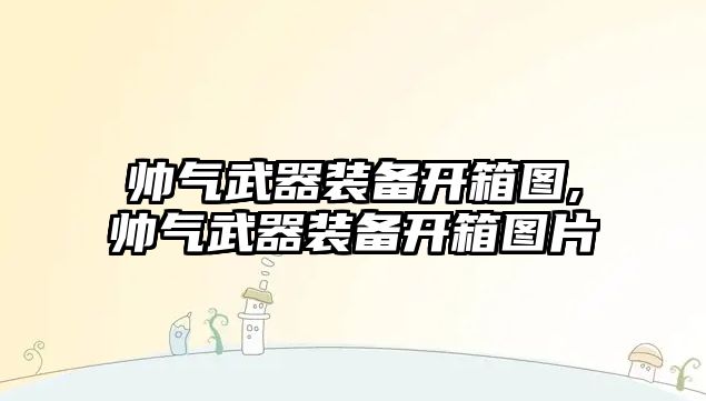 帥氣武器裝備開箱圖,帥氣武器裝備開箱圖片