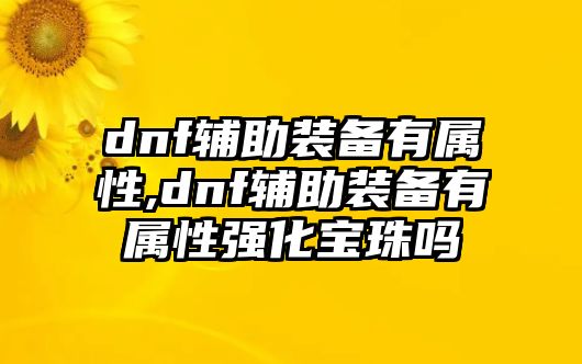 dnf輔助裝備有屬性,dnf輔助裝備有屬性強化寶珠嗎