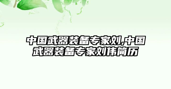 中國武器裝備專家劉,中國武器裝備專家劉偉簡歷