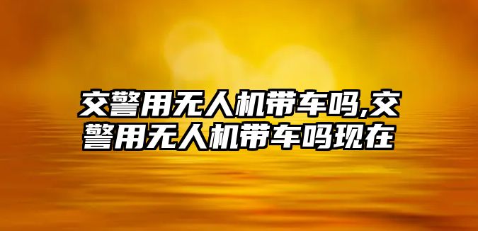 交警用無人機帶車嗎,交警用無人機帶車嗎現(xiàn)在