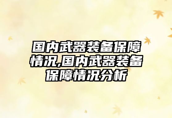 國(guó)內(nèi)武器裝備保障情況,國(guó)內(nèi)武器裝備保障情況分析