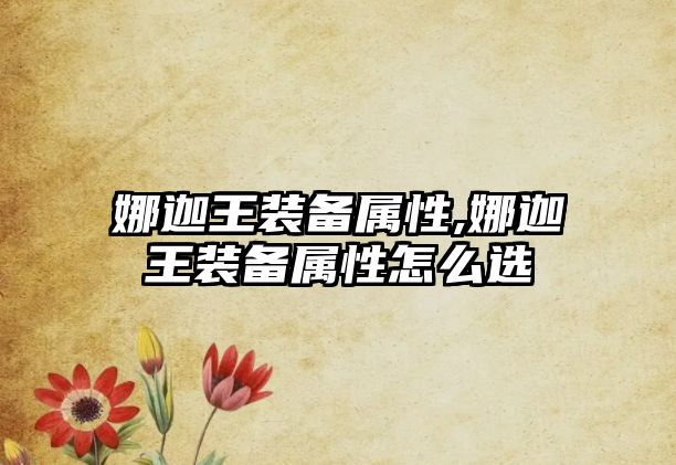 娜迦王裝備屬性,娜迦王裝備屬性怎么選