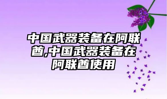 中國武器裝備在阿聯酋,中國武器裝備在阿聯酋使用