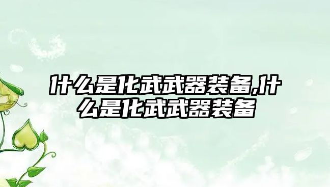 什么是化武武器裝備,什么是化武武器裝備